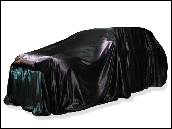 AutoReveal